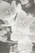 Decor Set Coll Grey - плочки 3 бр.