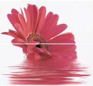 Decor Moments Fresa 2 - 2бр. плочки