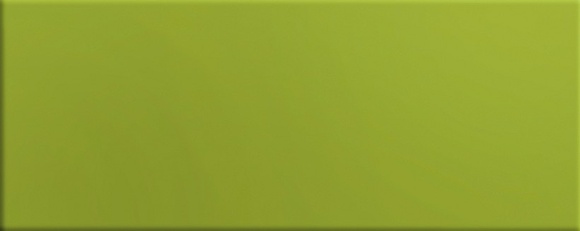 Intensity Green /20x50см/