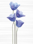 Decor Okoa Royal Blue - 4 елемента к-т