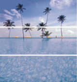 Decor Palms Set (комплект 3 плочки)