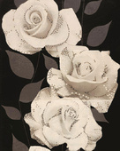 Decor Rosa Pristine 25x60