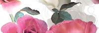 Decor Flora-1