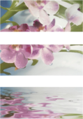 Decor Elegant Set (комплект 3 плочки)
