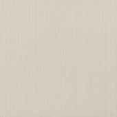 Maxima Grey