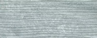 Darwin Relieve Gris