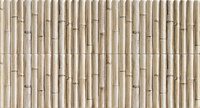 Bamboo White