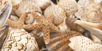 Decor Sea Breeze 1