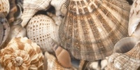 Decor Sea Breeze 3