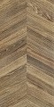 Rainforest Wood
