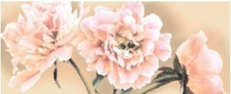 Емилия Крема 1