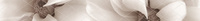 Acuarela Crema Listelo Viola Taupe