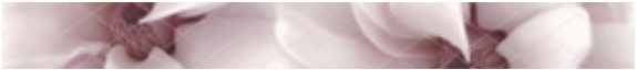 Acuarela Crema Listelo Viola Malva