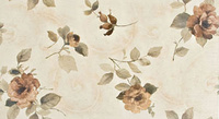 Aria H